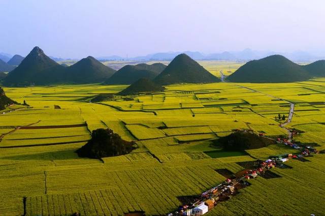 雅安市函授现场确认地点在哪呢