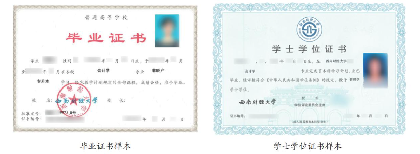 证书样本